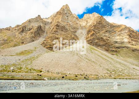 Indien, Ladakh State, Trans-Himalaya, Motorradtour auf Royal enfield von Jispa nach Padum, Kurgiak Chu Valley, Gonbo Rangion Stockfoto