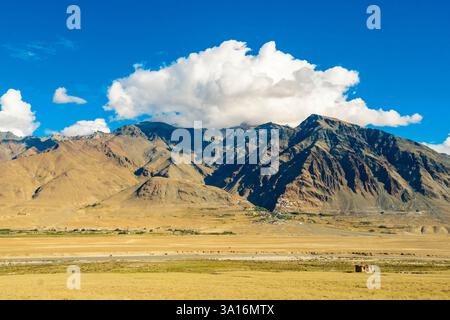 Indien, Ladakh State, Trans-Himalaya, Motorradtour auf der Royal enfield Road von Padum nach Lamayuru, Zanskar Valley, nördlich von Padum Stockfoto