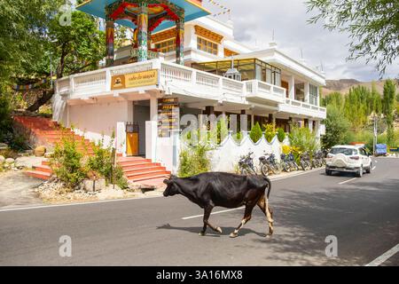 Indien, Ladakh Staat, Trans-Himalaya, Motorradtour auf Royal enfield von Lamayuru nach Leh, Straße zwischen Srinagar - Leh, Dorf Saspul Stockfoto