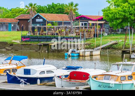 Frankreich, Gironde, La Teste-de-Buch, Tour du Bassin d'Arcachon, der Austernhafen von La Teste Stockfoto