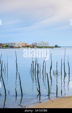 Frankreich, Gironde, La Teste-de-Buch, Tour du Bassin d'Arcachon, Pointe de l'Aiguillon im Hintergrund Stockfoto