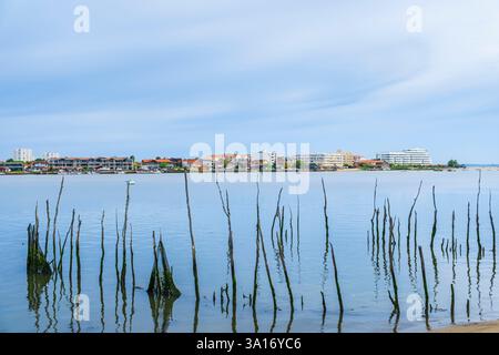 Frankreich, Gironde, La Teste-de-Buch, Tour du Bassin d'Arcachon, Pointe de l'Aiguillon im Hintergrund Stockfoto