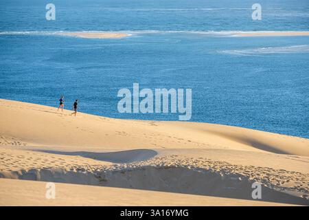 Frankreich, Gironde, Pyla-sur-Mer, große Stätte der Düne du Pilat, Naturschutzgebiet und höchste Düne Europas, Banc d'Arguin im Hintergrund Stockfoto