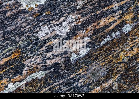 Nahaufnahme aus dunkelblauem Stein mit markanten, natürlichen weißen Linien, die die einzigartige Textur und das Muster zeigen Stockfoto