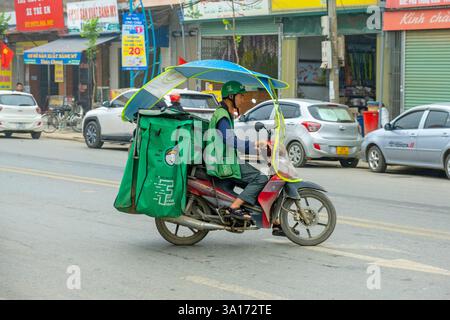 Vietnam, Provinz Hanoi, Liefertroller mit Dach und Regenschutz Stockfoto