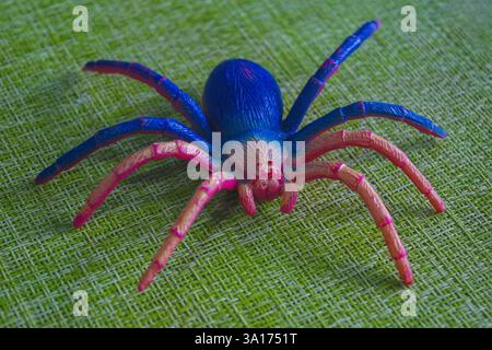 Ein realistisches, farbenfrohes Spinnenspielzeug aus Plastik, Nahaufnahme auf grüner Oberfläche. Stockfoto