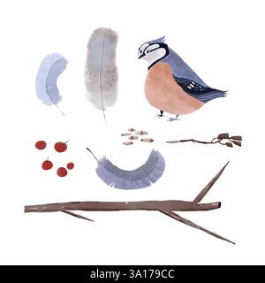 Aquarellset mit einem süßen blauen Vogel, Federn, Samen, Beeren, Zweigen, und Gras. Handgezeichnete digitale Illustration im Kinderstil. Perfekt für Personen Stockfoto