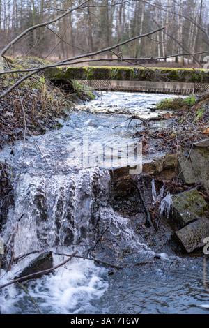 Kleiner Wasserfall im Waldbach mit Eisformationen Stockfoto