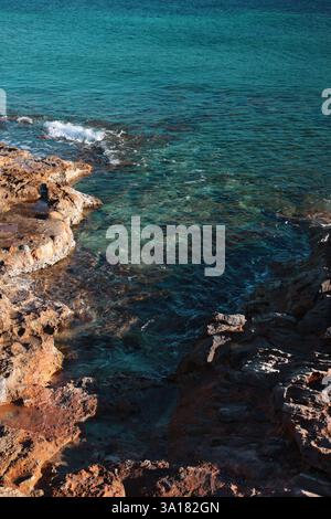 Strand am Meer mit Kiefern. Wasser von ungewöhnlicher Farbe Türkis. Frühlingsmeer Stockfoto