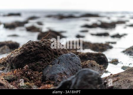 Eine atemberaubende Nahaufnahme von moosbedeckten Felsen an der Küste, aufgenommen mit langer Belichtung. Stockfoto