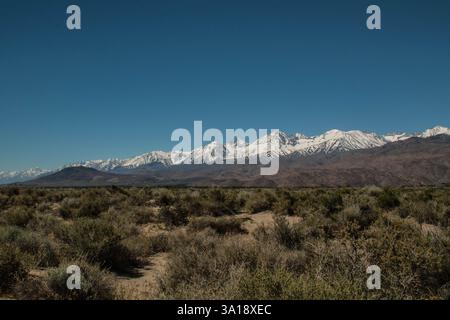 Die schneebedeckte Sierra Nevada erhebt sich über den Wüstenboden in Kalifornien. Stockfoto