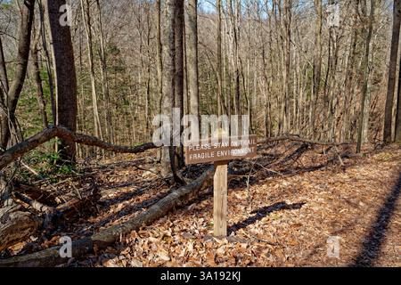 Alle paar Meter entlang des Randes eines Weges auf einem Berg im Wald sind hölzerne Schilder, die sagen, bitte bleiben Sie auf dem Weg, zerbrechliche Umgebung umgeben Stockfoto