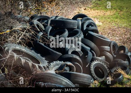 Eine große Sammlung alter, abgenutzter Reifen stapelt sich auf einem Feld, das von karger Vegetation und Bäumen umgeben ist Stockfoto