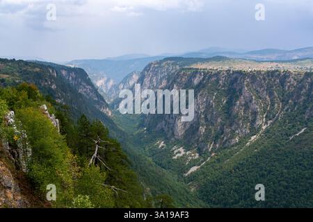 Blick auf den Tara River Canyon in Montenegro Stockfoto