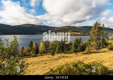 Panoramablick auf den Schluchsee im Herbst, Schwarzwald, Baden Württemberg, Deutschland Stockfoto