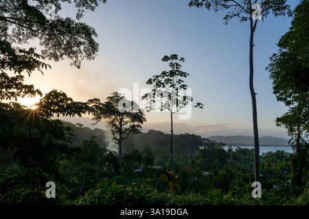 Sonnenaufgang über dem üppigen tropischen Dschungel in Puerto Viejo de Talamanca, Costa Rica Stockfoto