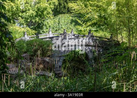 Chinesischer Garten des himmlischen Friedens in Frankfurt Stockfoto