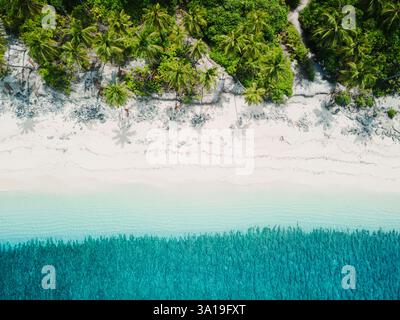 Drohnenblick auf die Küste auf den Malediven. Blaues, kristallklares Wasser und tropischer Strand auf Paradise Island. Stockfoto