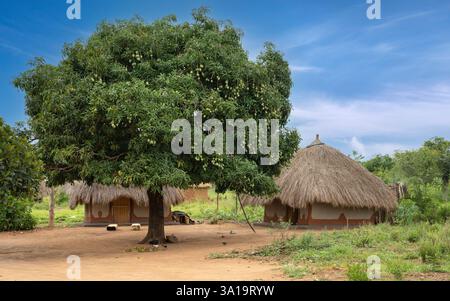Typisches afrikanisches Dorf, Uganda, Ostafrika Stockfoto