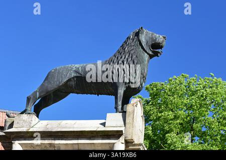 Der Braunschweiger Löwe, Bronzestatue auf dem Burgplatz in Braunschweig, Niedersachsen Stockfoto