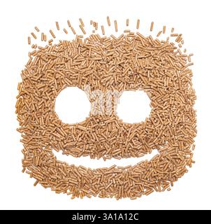 Lustiges Gesicht mit alternativen Biokraftstoffe aus Sägemehl Pellets hergestellt. Stockfoto