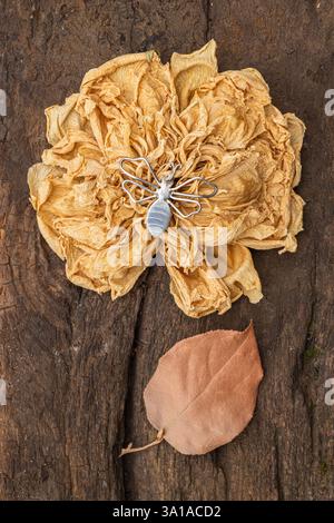 Große dekorative Metallbiene auf einer getrockneten Dahlienblume Stockfoto