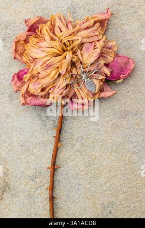 Große dekorative Metallbiene auf einer getrockneten Dahlienblume Stockfoto