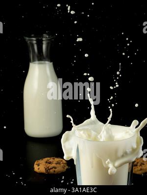 Die Milch spritzt aus dem Glas und verursacht Chaos auf dem Tisch. Auf dem Tisch befindet sich auch ein Cookie, der die Szene ergänzt. Schwarzer Hintergrund Stockfoto