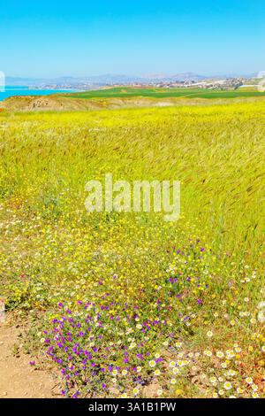 Riserva Naturale di Punta Bianca Küste, Palma di Montechiaro, Agrigento, Sizilien, Italien Stockfoto