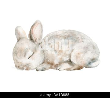 Ein süßes kleines schlafendes Kaninchen auf weißem Hintergrund. Die Abbildung ist handgezeichnet mit Aquarell. Perfekt für Textilien, Verpackungen und Design Stockfoto
