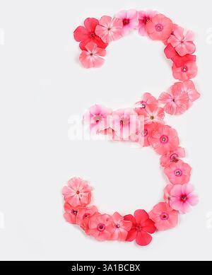 Nummer 3 aus echten frischen Blumen. Konzept der Blumenschrift, Alphabet. Einzigartige Sammlung von Buchstaben und Zahlen für Design. Frühling, Sommer, Herbst und Stockfoto