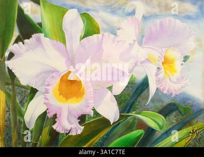 Aquarellmalerei originale realistische weiße Blume der Orchidee und grünen Blätter in himmelblauem Hintergrund. Stockfoto