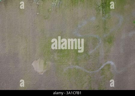 Eine Wand mit grünem Moos und einer weißen Linie darauf. Die weiße Linie hat die Form eines Buchstaben „S“. Stockfoto