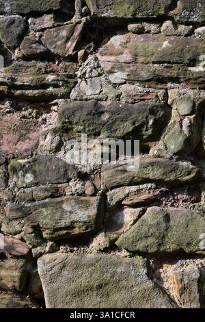 Eine Mauer aus Stein, auf der Moos wächst. Die Wand ist alt und hat eine raue Textur Stockfoto