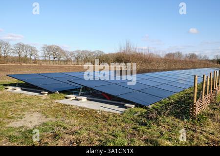 2. März 2025 - Borger, Niederlande: Zwei Reihen von Solarpaneelen in einer natürlichen Landschaft nahe dem Hunebedcentrum, die Nachhaltigkeit mit n verbinden Stockfoto