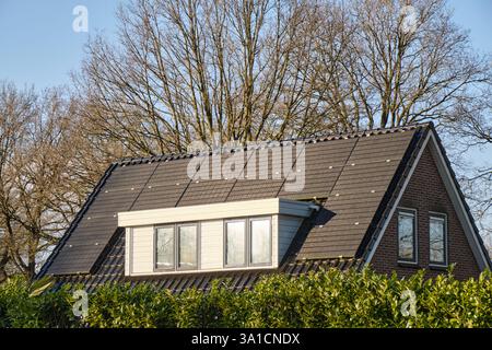 Niederlande: Ein Dachdach mit einer maximalen Anzahl von Solarpaneelen, effizient angeordnet, über einer grünen Hecke mit blauem Himmel und Bäumen. Stockfoto