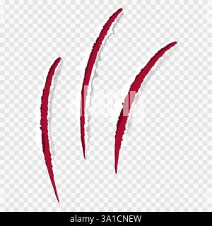 Katzenklauen rote Kratzer, gerissene Papierkante isoliert auf transparentem Hintergrund realistisch. Strukturierte Löcher mit beschädigter Oberfläche. . Vektorabbildung Stock Vektor