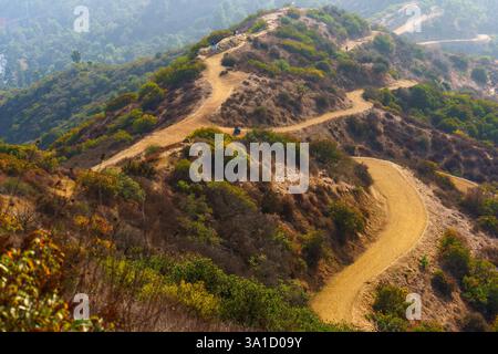 Gewundene Wanderwege umgeben von Grün auf einem Hügel im Griffith Park, vom Gipfel des Tom LaBonge Panorama-Observatoriums aus gesehen. Stockfoto