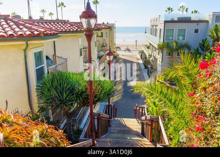 Oceanside, Kalifornien - 27. Dezember 2024: Treppen, die zu einem Strandweg mit Palmen und farbenfrohen Pflanzen in Oceanside führen. Stockfoto