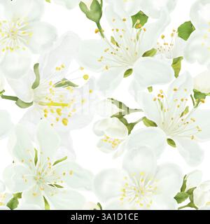 Blühende Frühlingsblumen mit zarten Blütenblättern und gelben Staubblättern, nahtloses Muster. Digitale Illustration mit Aquarell. Weiße Knospen isoliert auf weißem Hintergrund Stockfoto