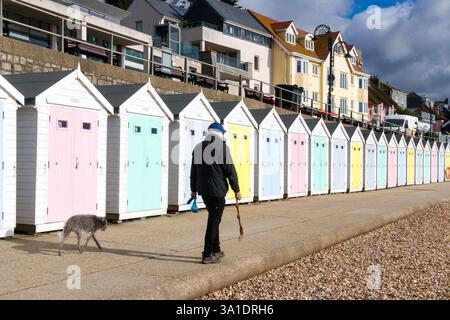Mann geht mit dem Hund vorbei an pastellfarbenen Strandhütten an der Strandpromenade in Lyme regis, Dorset, Großbritannien Stockfoto