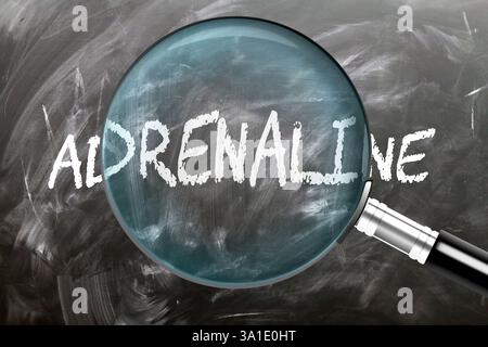 Adrenalin - Lernen, studieren und untersuchen Sie es. Adrenalin genauer betrachten. Eine Lupe, die das Wort "Adrenalin" vergrößert, geschrieben auf einem Schwarzschwein Stockfoto