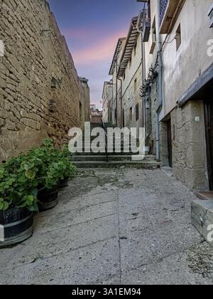 Enge Kopfsteinpflasterstraße mit Steintreppen, historischen Gebäuden und Pflanzen in Briones, La Rioja, Spanien, in der Abenddämmerung. Stockfoto