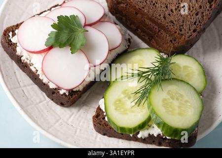 Frisch zubereitete offene Sandwiches mit Hüttenkäse, Gurken und Radieschen Stockfoto