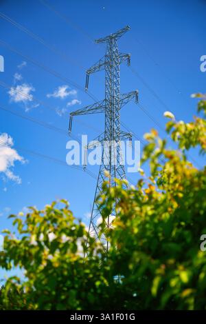 Ein hoher Stromübertragungsturm steht vor einem klaren blauen Himmel mit grünem Laub im Vordergrund. Der Turm ist Teil eines Stromleitungssystems. Stockfoto