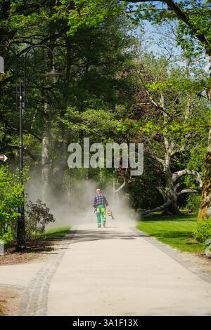 Eine Person, die einen von Bäumen gesäumten Weg mit einem Laubbläser entlang geht, umgeben von Staub und Grün. Stockfoto