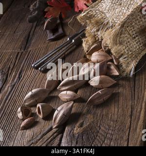 Canarium ovatum, allgemein bekannt als Pili ist eine Pflanzenart aus der Gattung der tropischen Baum Stockfoto
