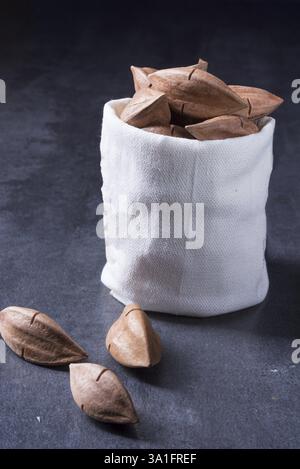 Canarium ovatum, allgemein bekannt als Pili ist eine Pflanzenart aus der Gattung der tropischen Baum Stockfoto