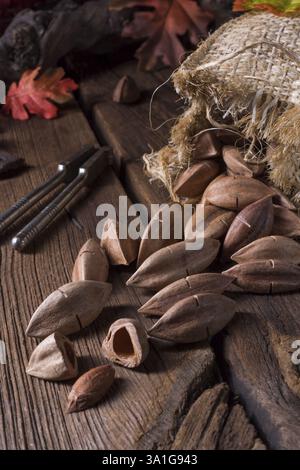 Canarium ovatum, allgemein bekannt als Pili ist eine Pflanzenart aus der Gattung der tropischen Baum Stockfoto