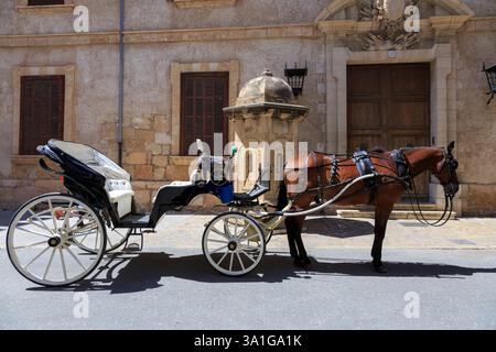 Europa, Spanien, Balearen, Mallorca. Palma Pferdekutsche. Fahrten für Touristen. Stockfoto